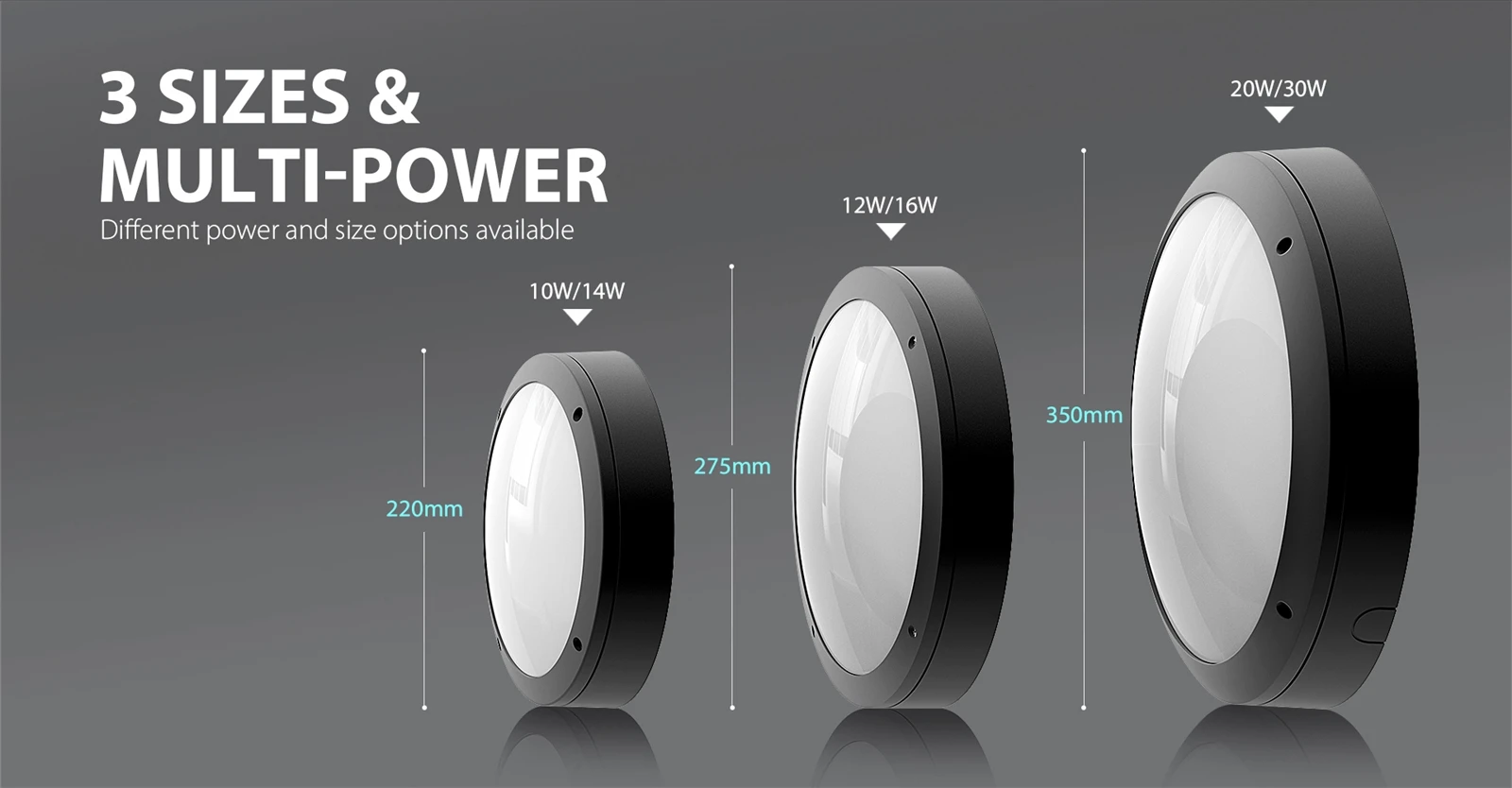 Lunar D275 -4 Lunar D275 -4