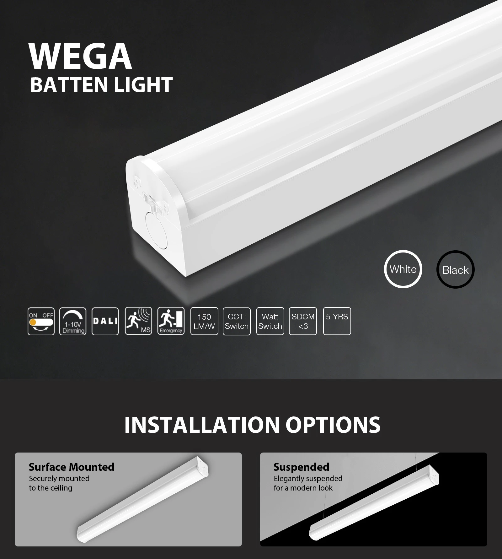 Wega 01